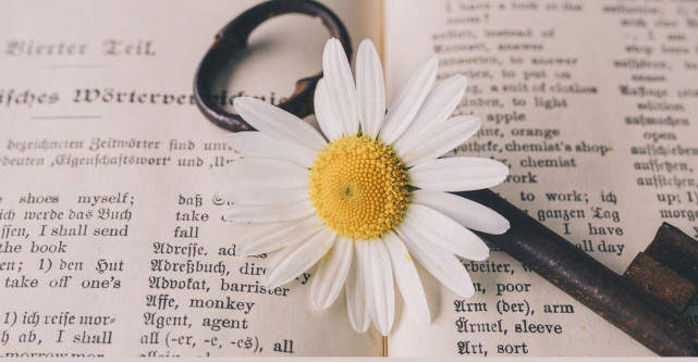 500+ Proverbe și zicale românești din înțelepciunea strămoșilor 