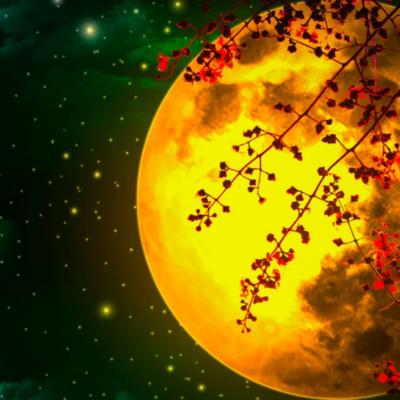 Luna Plină din Berbec ne va elibera de durerea pe care am cărat-o atât de mult timp după noi. Află mantra zodiei tale 