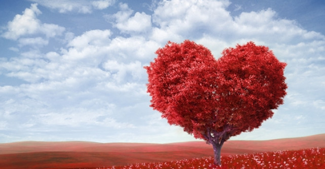 Top 5 zodii care se indragostesc in 2015 