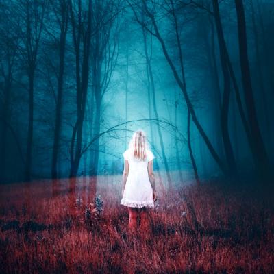 Testul psihologic al padurii: Care este cararea vietii tale?