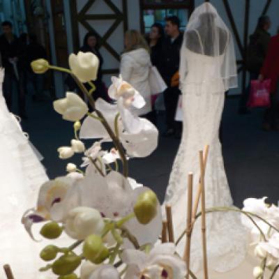 Alessandra Stoicescu, mireasa de 100.000 euro! 