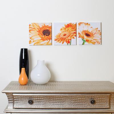 Practic: 6 trucuri de a folosi fotografiile