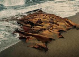 Disney+ anunța serialele care vor avea premiera în 2025