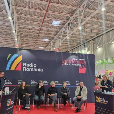 Anul Brâncuși este deschis la Radio România Cultural de Ziua Culturii Naționale. Dan Perjovschi: În muzeu, Brâncuși e mort
