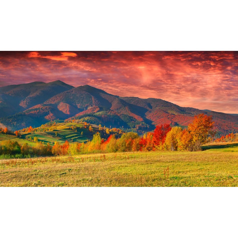  Rasarit de soare in toamna