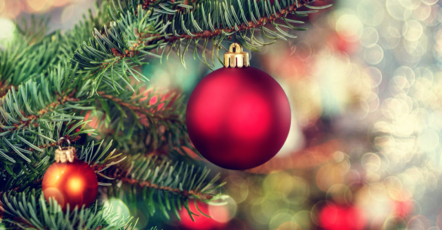 Minimalismul, tendinta florala de Craciun