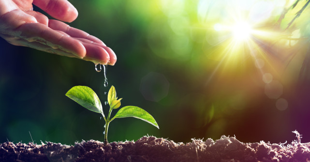 Cum a fost la Kudika Body&Spirit Camp: Ritualuri de frumusețe pentru trup și suflet 