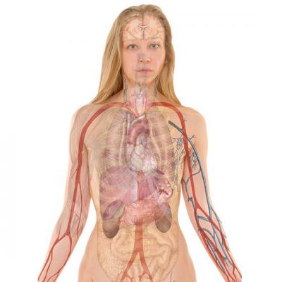 5 Tratamente naturiste pentru protectia si regenerarea FICATULUI