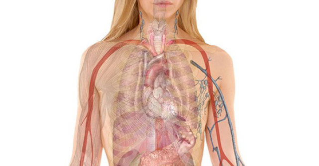 5 Tratamente naturiste pentru protectia si regenerarea FICATULUI