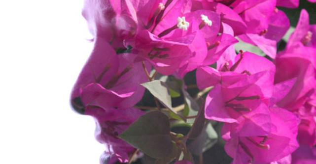 Ce este boala? 27 de sfaturi esentiale PENTRU VIATA SI SANATATE 