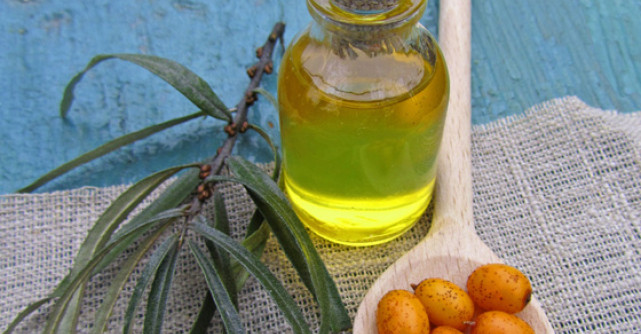 Uleiul de catina: medicamentul de mii de ani