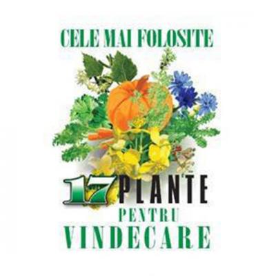 Cele mai folosite 17 plante pentru vindecare