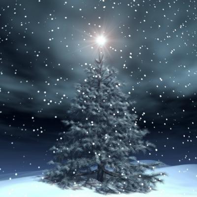 Istoria pomului de Craciun