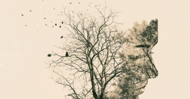 Lucrurile pe care le vrei nu sunt intotdeauna lucrurile de care ai nevoie