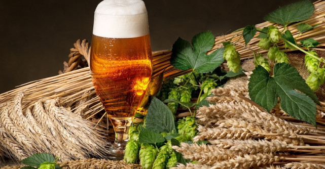 Relația dintre consumul de alcool și alimentație