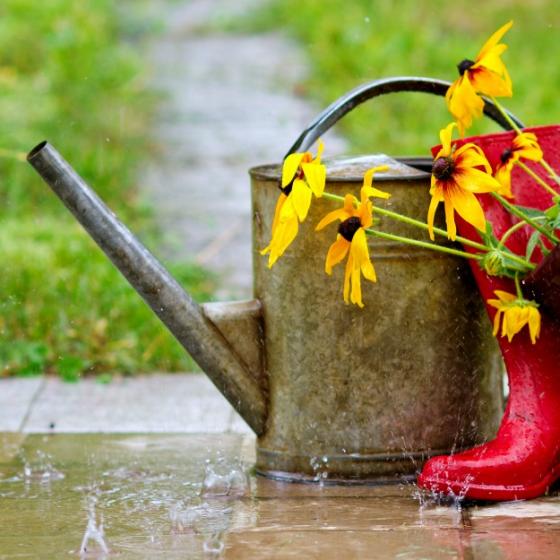 Ce cizme de ploaie se potrivesc in orice tinuta