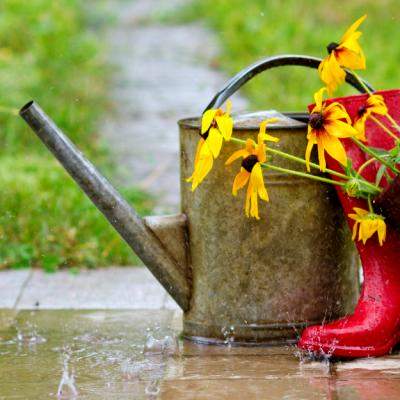 Ce cizme de ploaie se potrivesc in orice tinuta