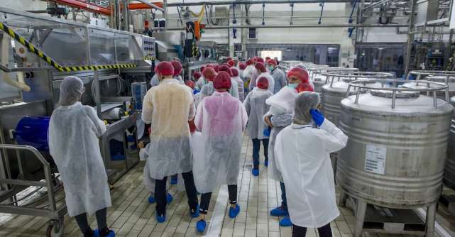 Danone a deschis porțile fabricii din București celor care au dorit să vadă cum se produce iaurtul