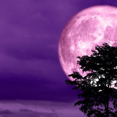 Luna Plină de pe 19 februarie. 3 Zodii vor avea parte de surprize minunate