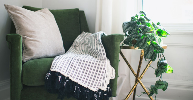5 plante usor de ingrijit care iti transforma casa intr-o oaza de prospetime