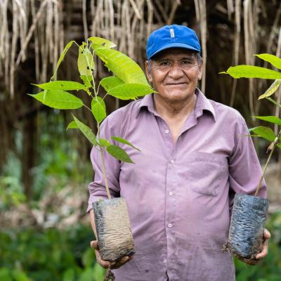 FOREO planteaza mii de copaci cu ajutorul clientilor sai