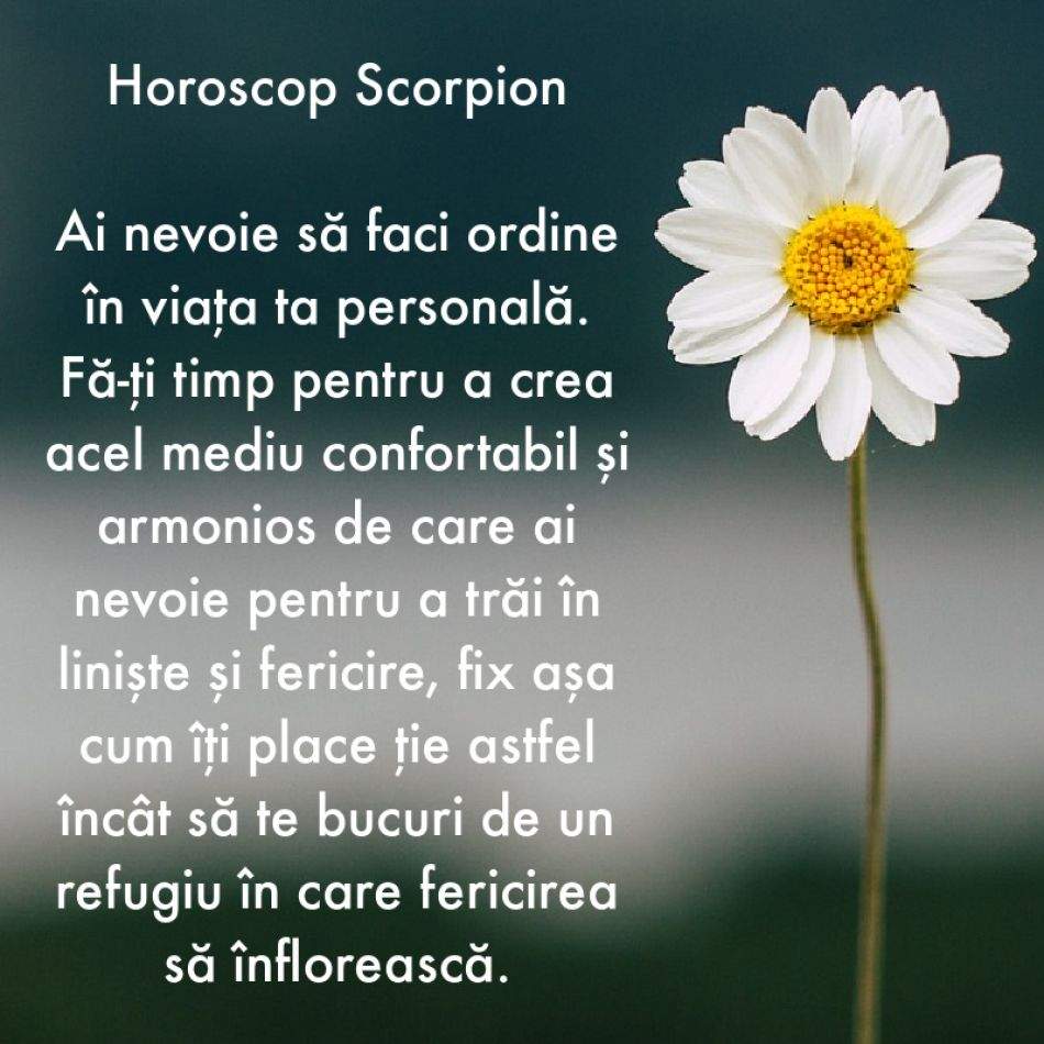 De ce are nevoie fiecare semn zodiacal în săptămâna 3-9 iulie