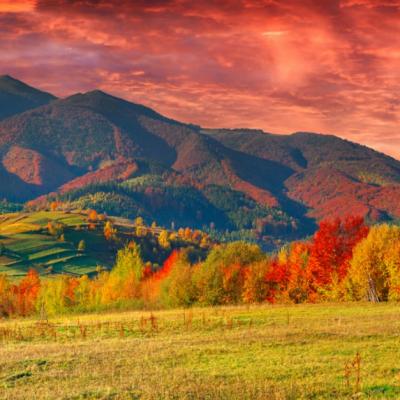 15 Citate si imagini despre toamna care te vor face sa te reindragostesti de acest anotimp