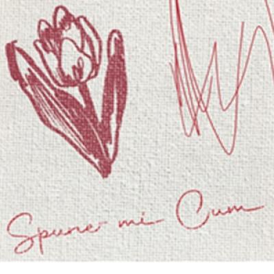 Marej lansează Spune-mi cum, o piesă despre curajul de a iubi cu adevărat