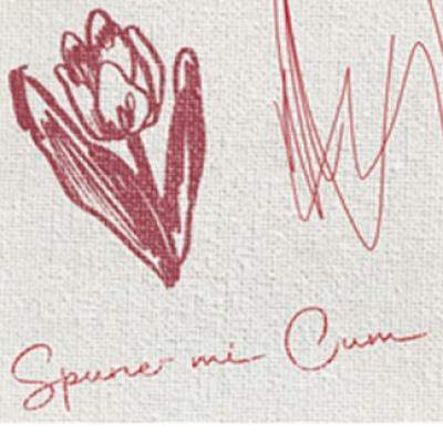 Marej lansează Spune-mi cum, o piesă despre curajul de a iubi cu adevărat