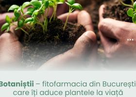 Botaniștii – fitofarmacia din București care îți aduce plantele la viață