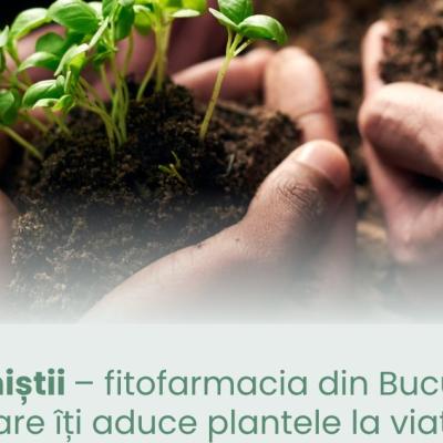 Botaniștii – fitofarmacia din București care îți aduce plantele la viață