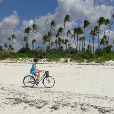 Ramona Florentina Fugaciu: Gandurile sunt instrumentele prin care plantam semintele viitoarelor intamplari