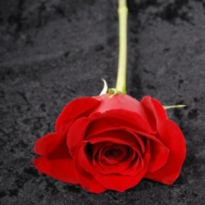 Blog Kudic: Doua jumatati