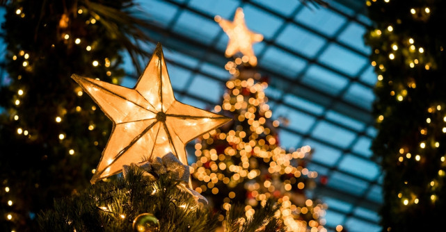 Lucruri uimitoare pe care trebuie să le știți despre bradul de Crăciun