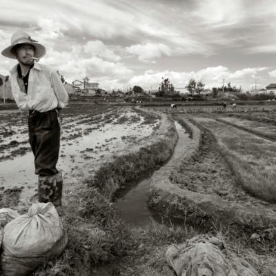 Alan Watts despre noroc și ghinion: Pilda fermierului chinez