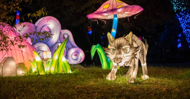 Garden of Lights s-a deschis vineri la București: Lumea magică a poveștilor - Beauty and the Beast