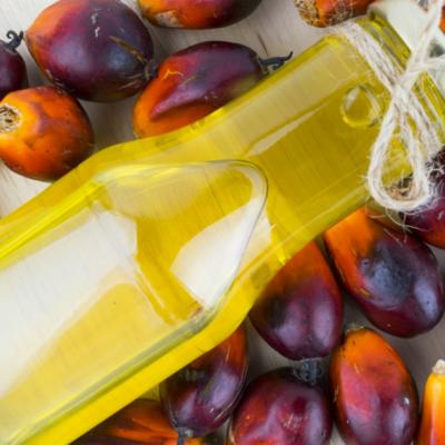 Cat de sanatos este uleiul de palmier?