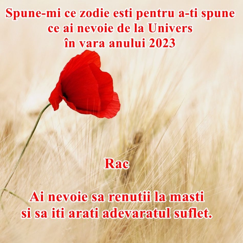 Spune-mi ce zodie ești pentru a îți spune de ce ai nevoie de la Univers în vara anului 2023