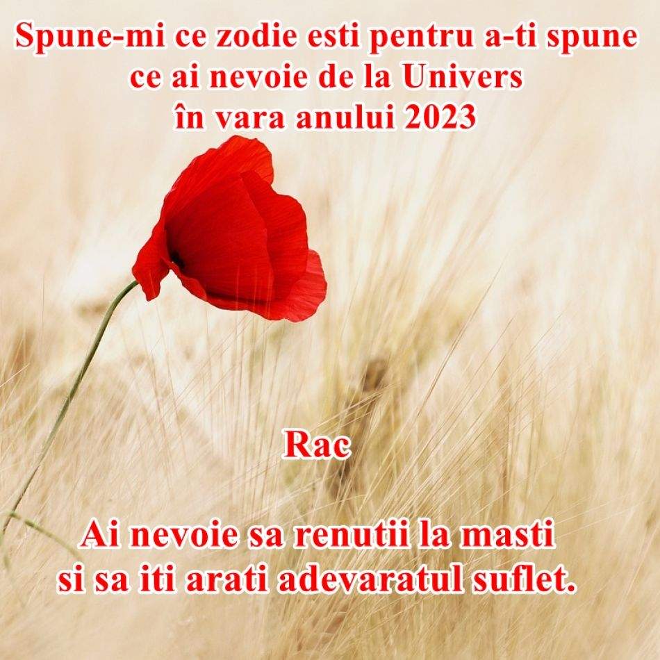 Spune-mi ce zodie ești pentru a îți spune de ce ai nevoie de la Univers în vara anului 2023