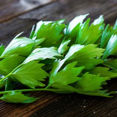 Leusteanul: Beneficii mai putin cunoscute pentru sanatate