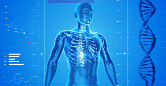 Cum functioneaza glandele endocrine