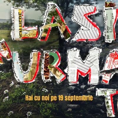 Let’s Do It, Romania! lansează înscrierile pentru Ziua de Curățenie Națională, care are loc pe 19 septembrie