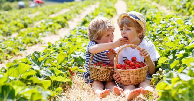 Educaţie prin joc: 1000 de copii au descoperit importanţa alimentaţiei sănătoase 
