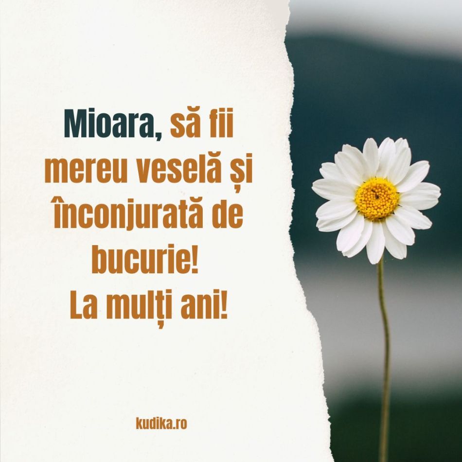 Adormirea Maicii Domnului (15 august) și Sf. Maria Mică (8 august). Când spunem La mulți ani? Diferențe și semnificații