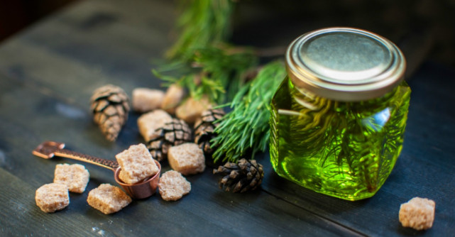 Remedii extraordinare pe baza de muguri de brad