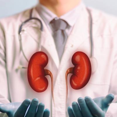 Pietre la rinichi: adevăruri medicale, mituri populare și pași practici pentru tratarea și prevenția reapariției
