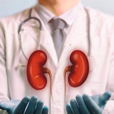 Pietre la rinichi: adevăruri medicale, mituri populare și pași practici pentru tratarea și prevenția reapariției
