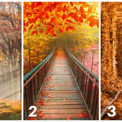 Alege o imagine si afla ce iti rezerva finalul de an 2021