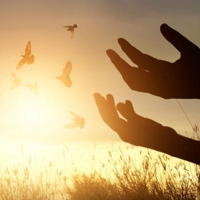 9 Adevăruri minunate care vor schimba modul în care vezi viața