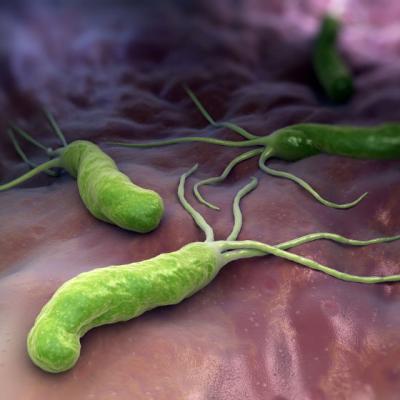 Helicobacter Pylori - simptome si tratament